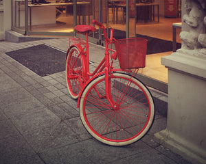 <transcy>Design element "Danija" bicycle</transcy>
