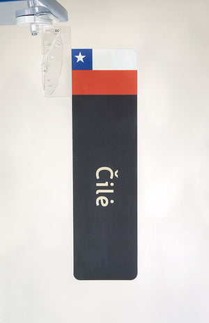 Reklaminė vėliavėlė su PRO-FLAG laikikiu