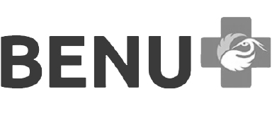 Partner 19